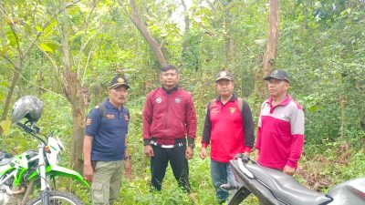 Perhutani KPH Jatirogo Gandeng Polsek Senori dan LMDH, Intensifkan Patroli Hutan Cegah Karhutla dan Gangguan Keamanan