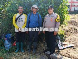 Jagung Mulai Bertongkol, Polisi dan Petani Bandungrejosari Optimistis Panen Hingga 30 Ton