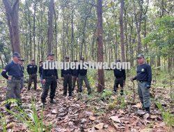 Antisipasi El Nino, Perhutani KPH Jatirogo Intensifkan Patroli dan Edukasi Pencegahan Karhutla