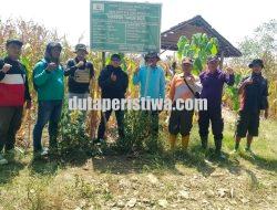 Perhutani KPH Jatirogo Perkuat Sinergi Bersama LMDH dan Petani Hutan Demi Optimalkan Agroforestri