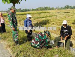 Pembinaan Lingkungan Hidup, Kodim Bojonegoro Tanam Ribuan Pohon Kayu Putih dan Balsa