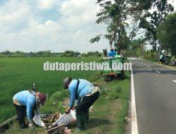 DLH Bojonegoro Terus Sisir Sampah Liar Sepanjang Jalan, Imbau Warga Tak Buang Sampah Sembarangan