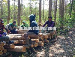 Libatkan Warga dan LMDH dalam Angkutan Kayu, Perhutani KPH Jatirogo Perkuat Ekonomi Desa Hutan