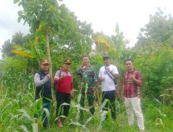 Perhutani KPH Jatirogo Perkuat Sinergitas dengan Koramil Kedewan dan Pemdes Wonocolo, Antisipasi Karhutla di Musim Kemarau