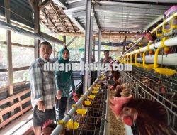 TP PKK Bojonegoro Fokus Penguatan Ketahanan Keluarga, Sinergi Program Gayatri hingga Pengelolaan Sampah