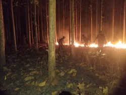 25 Anggota Kodim Blora Bersama Tim Gabungan Padamkan Karhutla di Pojokwatu