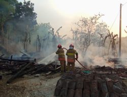Tim Damkarmat Bojonegoro Gerak Cepat Padamkan Kebakaran Tiga Rumah di Ngraho