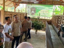 Inovatif dan Mandiri, Kelompok Ternak Srono Makmur Desa Sumberbendo Masuk Daftar Penilaian Jawa Timur