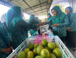 Inspiratif, Desa Semenkidul-Sukosewu Manfaatkan Pekarangan Rumah Kembangkan Jeruk Pamelo