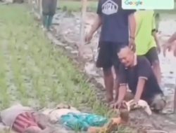 Dua Warga Sidomukti Kasiman Meninggal Tersengat Listrik Saat ke Sawah