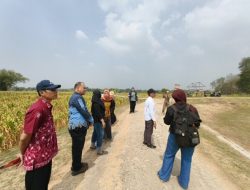 Kecamatan Purwosari Petakan Sumber Air untuk Pertanian, Akan Maksimalkan Suplai dari Bengawan Solo