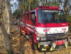 Lahan Bambu di Dukuh Dulang Bangsri Terbakar, Warga dan Damkar Sigap Cegah Api Merembet ke Permukiman